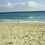 Profile Picture of Maria Teresa Hidalgo Molina (@mariateresahidalgomolina) on Instagram
