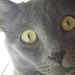 Profile Picture of Sharyn Hayes Baker (@sharynbaker) on Instagram