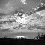 Profile Picture of Harold (@hescox00) on Instagram