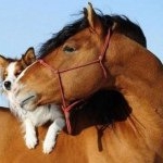 Profile Picture of rubysears (@rubysears) on Instagram