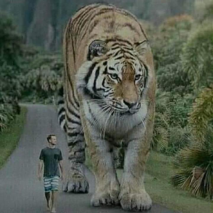 Profile Picture of Ricky hern (@rickyherns) on Tiktok