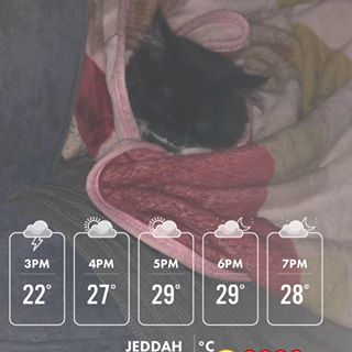 Profile Picture of Shod Haddad (@shod.haddad) on Facebook