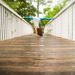 Profile Picture of Megan Carson (@meganc33) on Pinterest