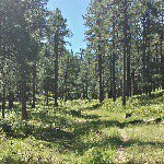 Profile Picture of Scott Fortune (@sfortune145) on Instagram