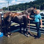 Profile Picture of Ryace Stephen Boyer (@ryace_stephen) on Instagram