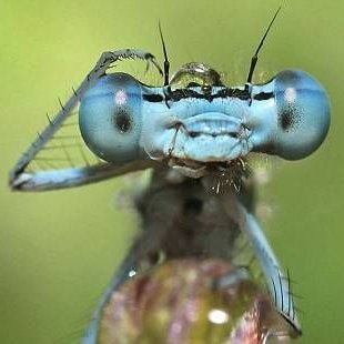 Profile Picture of Steven Dolde (@IHavethePower) on Twitter