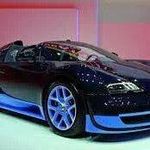 Patrick Delvecchio - Instagram Profile Picture of Patrick Delvecchio (@delvecchiopatrick) on Instagram