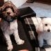 Profile Picture of Lisa Baier (@lisa.baier.140) on Facebook