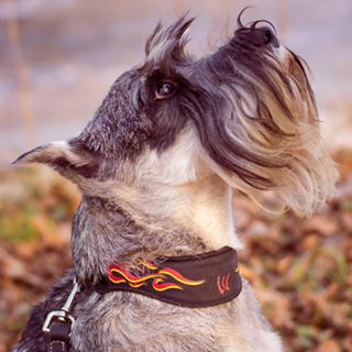 Profile Picture of Jean Aldrich (@jw4birds) on Facebook