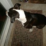 Profile Picture of Bundy Ray (@librabundy63) on Instagram