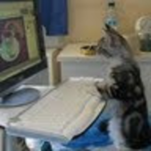 Profile Picture of Lesley Bredvik (@lbredvik) on Poshmark