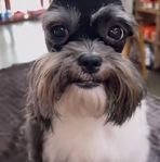 Profile Picture of Garrett Vaughn (@Garrett-Vaughn) on Facebook