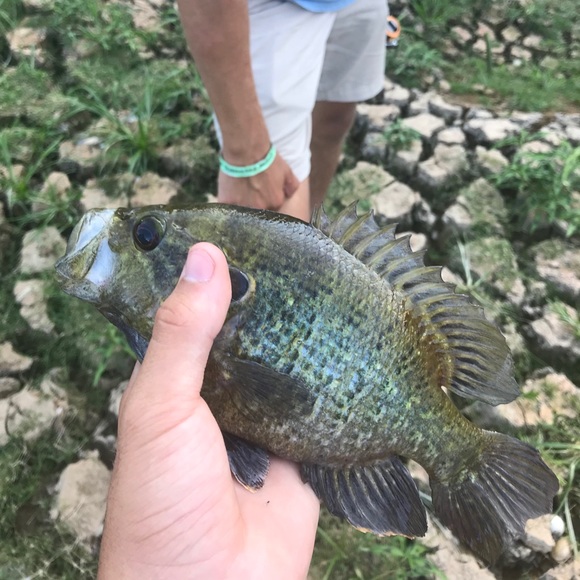 Profile Picture of Jacob Allen (@jallen47489) on Poshmark