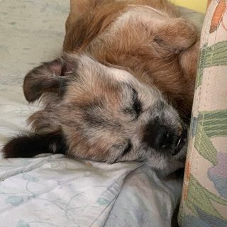Profile Picture of Annie Bastien (@annie.bastien.562) on Facebook