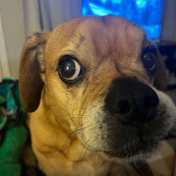 Profile Picture of Cory (@corybeckmann) on Tiktok