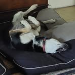 Profile Picture of Tony Hilliard (@Tony-Hilliard) on Facebook