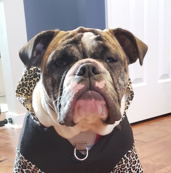 Profile Picture of Sean Snodgrass (@sls76001) on Poshmark