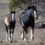 David Botham - Instagram Profile Picture of David Botham (@dbotham4455) on Instagram