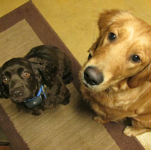 Profile Picture of James Stigers (@jts1703) on Poshmark