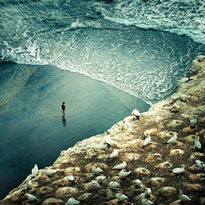 Profile Picture of Gloria Harrell (@HarrellGloria) on Twitter