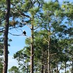 Profile Picture of Harold Nicholson (@hdnicholson2018) on Instagram