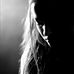 Profile Picture of Karina Lummen (@karina.lummen) on Facebook