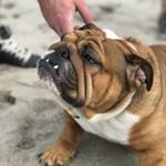 Profile Picture of Dayna Holt (@holtdayna) on Instagram
