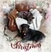 Profile Picture of Randy Jeffers (@randy.jeffers.129) on Facebook