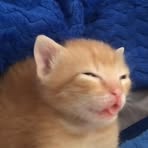 Profile Picture of Leena Shahiran (@Leena-Shahiran) on Facebook