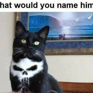 Profile Picture of craig albaugh (@craig.albaugh) on Tiktok