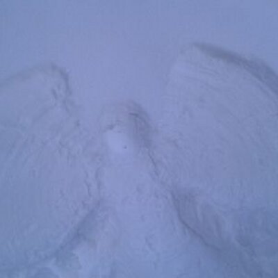 Profile Picture of Kate Fryer (@fryerkaf) on Twitter