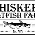 Profile Picture of Ken Jacobs (@whiskers_catfish_farm) on Instagram