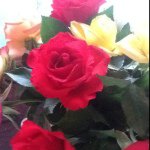 Turid Skuseth - Instagram Profile Picture of Turid Skuseth (@hamarfrua) on Instagram