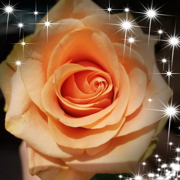 Profile Picture of Yolanda Trujillo (@yolandatruji826) on Poshmark