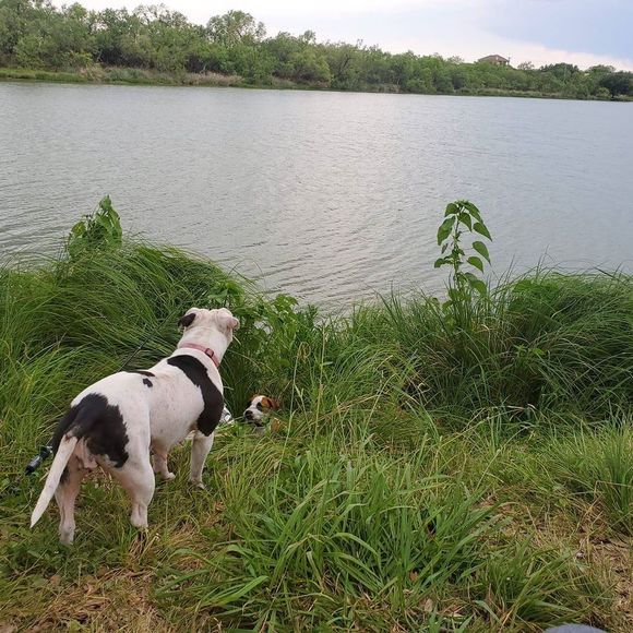 Profile Picture of John Humphries (@john_humphries) on Poshmark