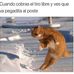 Profile Picture of Peter Tinoco (@peter.tinoco.58) on Facebook