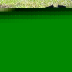 Profile Picture of Benito Jimenez (@benitojimenez) on Myspace