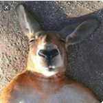 Profile Picture of THOMAS WARKENTIN (@thomaswarkentin) on Instagram