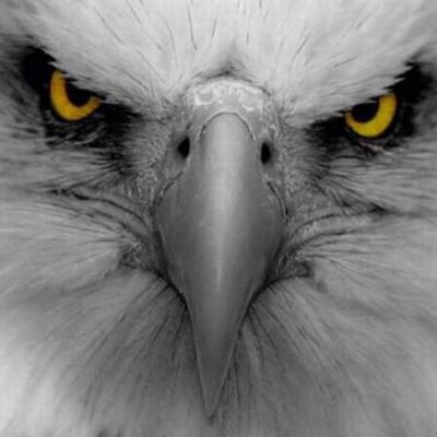 Profile Picture of Kevin Bretz (@kevinbretz73) on Twitter