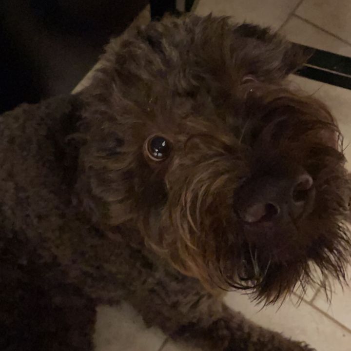 Profile Picture of grace (@gracebreitkreutzz) on Tiktok