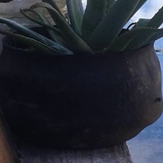 Profile Picture of Shelley Dread (@shelley.dread) on Facebook