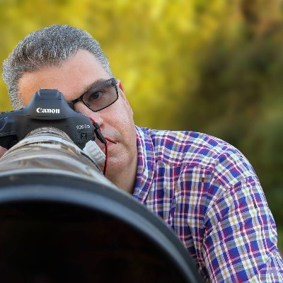 Profile Picture of Mark Tyrrell (@MarkTyrrell66) on Twitter