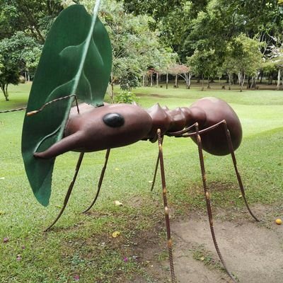 Profile Picture of Andy Apa (@AndyApa2) on Twitter