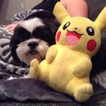 liam berhost - Instagram Profile Picture of liam berhost (@lgdrake_dragon) on Instagram