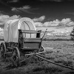 Profile Picture of Devon Wagoner (@wagonwriter) on Instagram