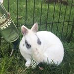 Profile Picture of Dakota Spencer Grimes (@grime006) on Instagram