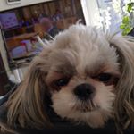 Profile Picture of Lillian Petersen (@li.llian803) on Instagram