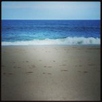 Profile Picture of Crystal Encinas (@charivelogo) on Instagram