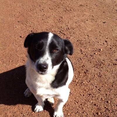 Profile Picture of Michael Harcourt (@MichaelHarcourt) on Twitter