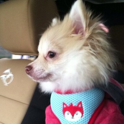 Profile Picture of Matt Hertel (@HertelMatt) on Twitter